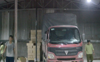 Truy tố nhóm bị can buôn lậu đèn led từ Trung Quốc về Việt Nam