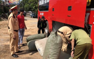 Thu giữ gần 500kg thuốc bắc không nguồn gốc "ẩn mình" trên xe khách