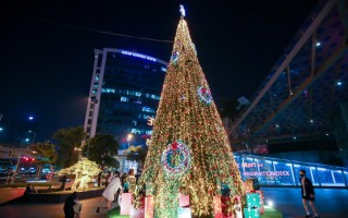 Chiêm ngưỡng những cây thông khổng lồ tại Hà Nội trước thềm Giáng sinh