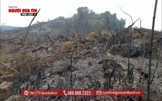Vụ huỷ hoại rừng đầu nguồn ở Hoà Bình: (Bài 1) Tự xưng chủ rừng, mang 'Thanh tra Bộ...' doạ phóng viên