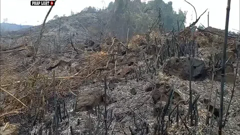 Vụ huỷ hoại rừng đầu nguồn ở Hoà Bình: (Bài 1) Tự xưng chủ rừng, mang 'Thanh tra Bộ...' doạ phóng viên