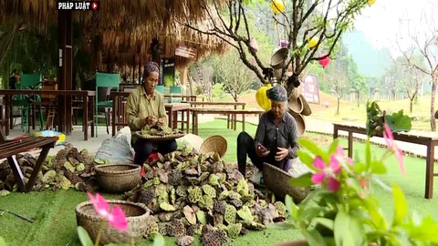 Ninh Bình phát triển mô hình nông nghiệp gắn với phục vụ du lịch