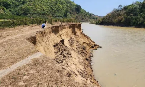 Đắk Lắk chỉ đạo dừng khai thác cát trên các đoạn sông bị sạt lở