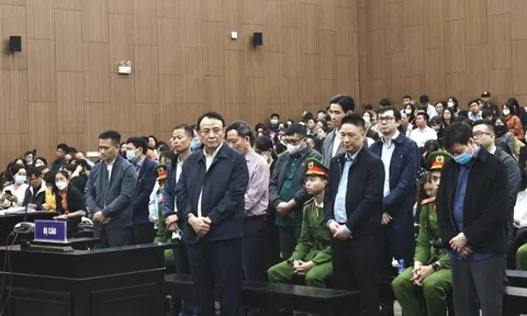 Chủ tịch Tân Hoàng Minh rơi nước mắt khi nghe luật sư bào chữa cho con trai