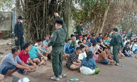 Tây Ninh: Triệt phá sòng bạc đá gà quy mô lớn, thu giữ gần 500 triệu đồng