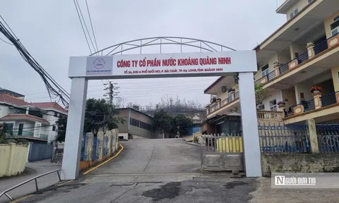Tỉnh ủy Quảng Ninh dự kiến thu cổ tức tiền tỷ từ công ty nước khoáng