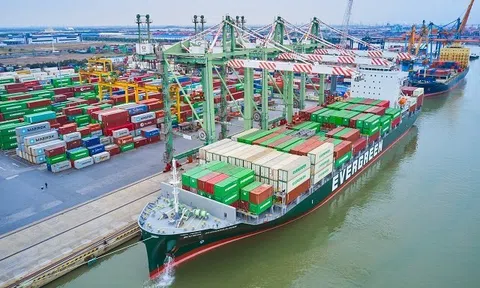 Lợi nhuận quý I/2025 của "ông trùm" bến cảng Hải Phòng tăng đột biến