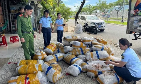 Phát hiện hơn 700kg mực khô bị vứt bỏ trên vỉa hè ở Đà Nẵng