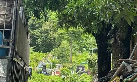 Vào nghĩa trang, người dân tá hoả khi phát hiện thi thể nam giới đang phân hủy