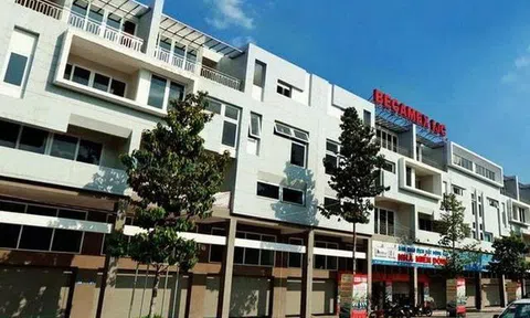 Becamex IJC bị xử phạt do vi phạm công bố thông tin