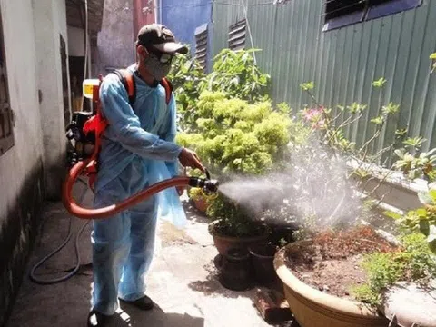 Chuyên gia chỉ ra nguyên nhân số ca mắc tăng và tử vong do sốt xuất huyết