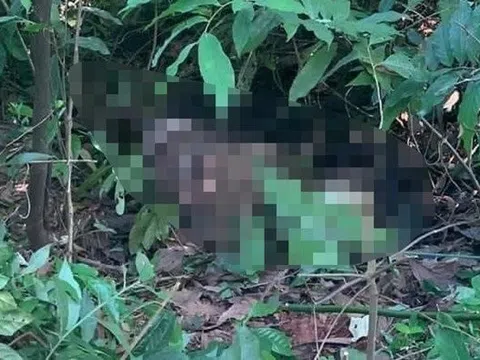 Phát hiện thi thể quấn chăn, buộc dây nghi là nam sinh mất tích