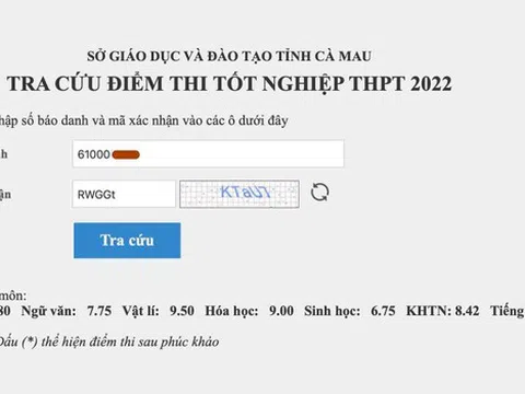 Bộ GD&ĐT yêu cầu báo cáo vụ học sinh giỏi bị điểm 0 tiếng Anh do ngủ quên