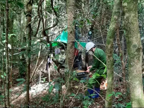 Bước đầu xác định được danh tính 2 thi thể chỉ còn là xương khô