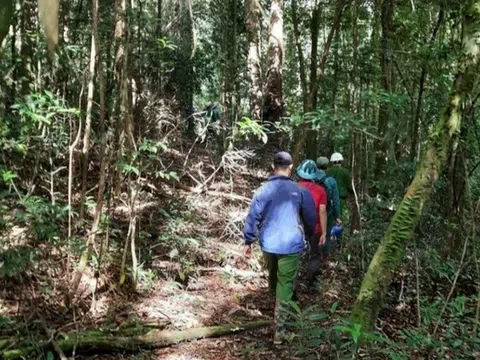 Thông tin mới nhất vụ phát hiện 2 bộ xương khô trong rừng ở Gia Lai