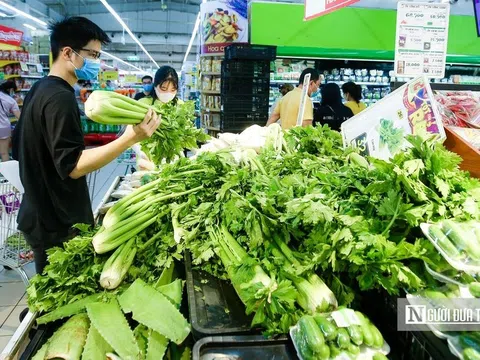 Lỗ hổng quản lý dẫn tới rau chợ "đội lốt" VietGap vào siêu thị