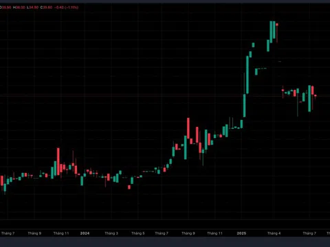 Chi phí tăng cao bào mòn lợi nhuận của Hữu Nghị Food