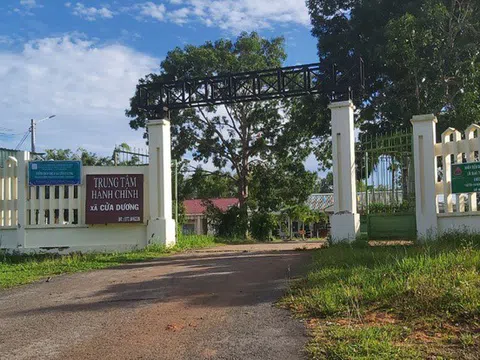 Cách chức phó chủ tịch xã vừa thi tốt nghiệp THPT ở tuổi 40