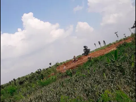 Viết tiếp bài Khoáng sản "chảy máu", chính quyền ngó lơ: Ai khóc cho đá mồ côi?