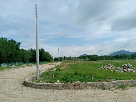 Phước Hòa (Phú Mỹ, Bà Rịa - Vũng Tàu): Cẩn trọng với dự án “ma” trên đất nông nghiệp