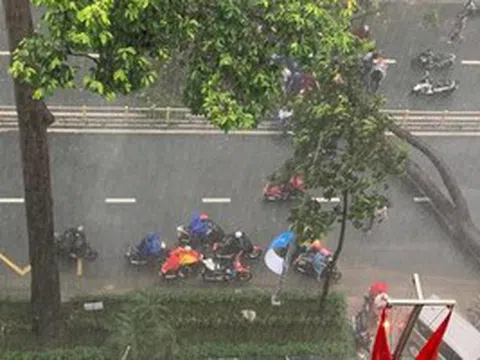 TP HCM: Người bị cây xanh bật gốc đè ngã đã tử vong