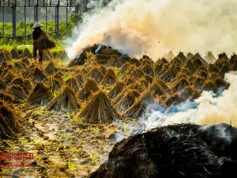 Bảo vệ môi trường Hà Nội: Kịch bản nào “giải cứu” nạn đốt rơm?