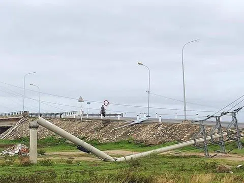 Bộ Công Thương nói về chất lượng hơn 300 cột điện bị gãy đổ trong bão số 5