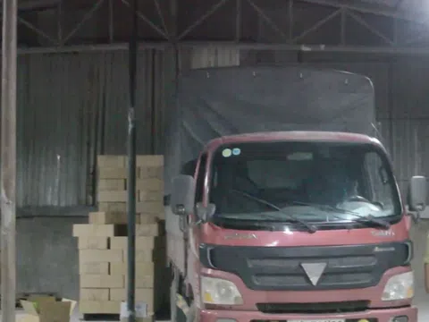 Truy tố nhóm bị can buôn lậu đèn led từ Trung Quốc về Việt Nam