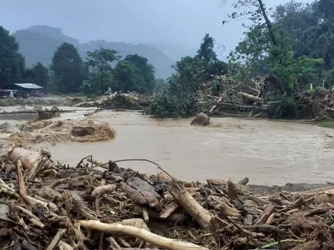 “Lũ gỗ” tràn về, biên phòng chốt chặn ngăn người dân đi vớt củi