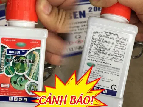 Phú Thọ: Uống nhầm thuốc trừ sâu, bé trai 2 tuổi phải nhập viện cấp cứu