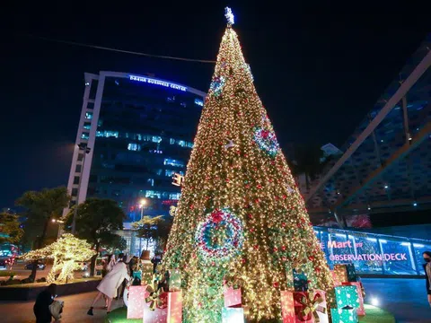 Chiêm ngưỡng những cây thông khổng lồ tại Hà Nội trước thềm Giáng sinh