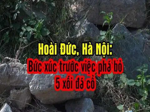 Hoài Đức, Hà Nội: Doanh nghiệp thi công kiểu huỷ hoại giá trị văn hoá, lịch sử