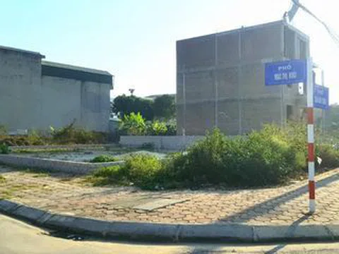 Chí Linh - Hải Dương: Cần nhanh chóng làm rõ vụ việc bỗng dưng mất đất của dân