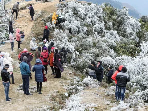 Hàng nghìn người đổ xô lên đỉnh Mẫu Sơn ngắm băng giá