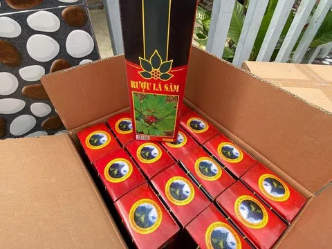 Thu giữ hàng trăm chai rượu sâm Ngọc Linh giả