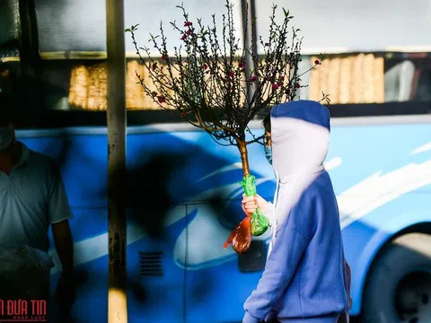 Hà Nội: Bến xe đìu hiu ngày 30 Tết