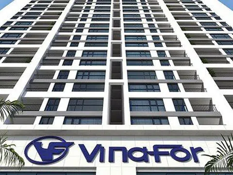 Thanh tra Chính phủ đề nghị Vinafor xử lý hơn 7.000ha đất bị lấn chiếm