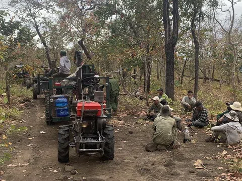 Gia Lai: Kết quả kiểm tra vụ phá rừng huyện Mang Yang