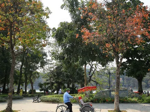 Ngắm Hà Nội nên thơ, trong mùa thay lá