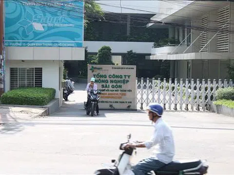 Khởi tố nguyên Phó Chánh văn phòng UBND TP.HCM