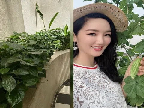Đã mắt với vườn rau xanh mướt trong biệt thự triệu đô của "người đẹp không tuổi" Giáng My