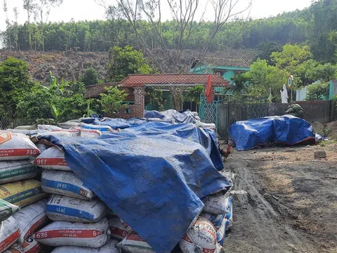 Than "thổ phỉ" Quảng Nam - Kỳ 1: Tận diệt... than