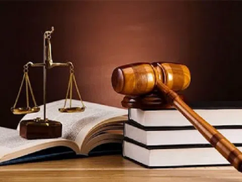 Chiếm đất phi nông nghiệp xây nhà, doanh nghiệp bị phạt 600 triệu