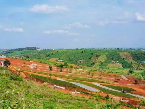 Lâm Đồng kiểm tra các khu đất, dự án phân lô từ đất nông nghiệp