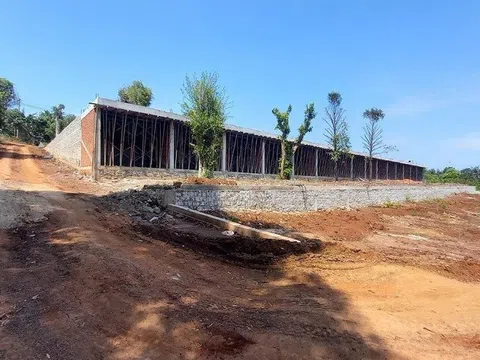 Vụ 15 căn nhà liền kề xây trên đất nông nghiệp: Xử phạt 43 triệu đồng