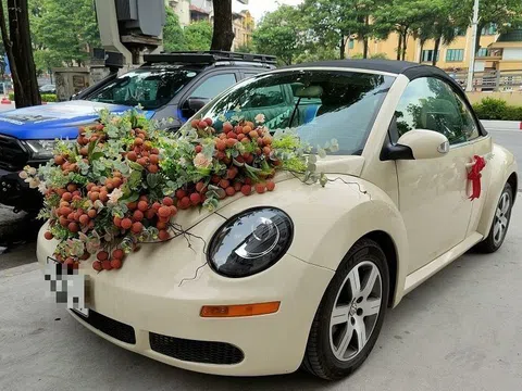 "Xe hoa" được trang trí bằng 30kg vải thiều khiến dân mạng thích thú