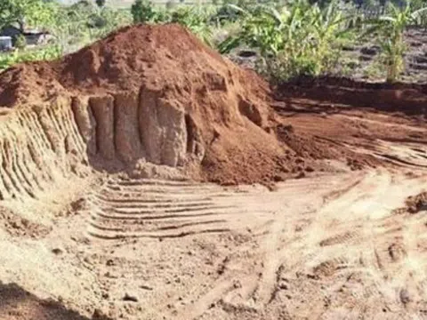 Doanh nghiệp khai thác đất trái phép bị phạt 146 triệu đồng