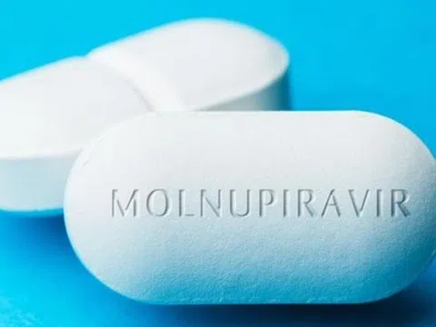 Tp. HCM: Sẽ có thêm 34.000 liều thuốc kháng virus Molnupiravir