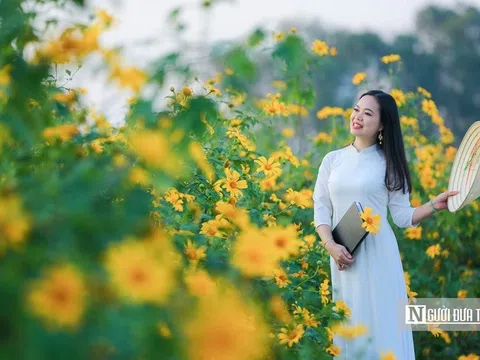 Người dân chụp cùng hoa dã quỳ giữa lòng Thủ đô