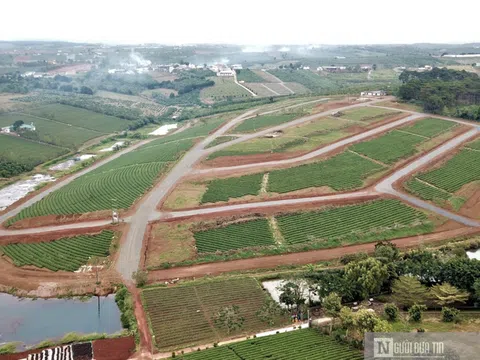 Lâm Đồng: Sai phạm trong quản lý đất đai, nhiều cán bộ bị kỷ luật